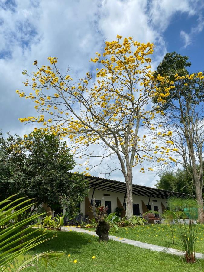 Baum Hotel Armenia  Luaran gambar